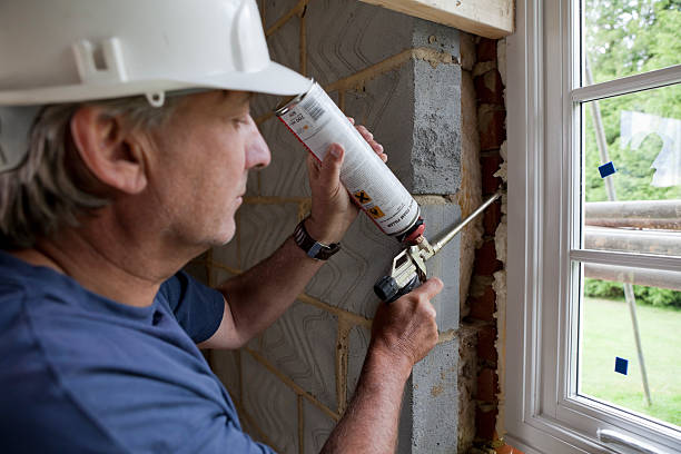 Best Cellulose Insulation  in Detroit Lakes, MN